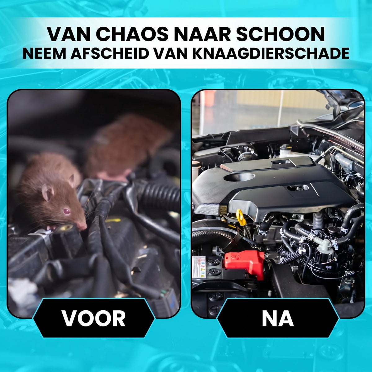 AutexRat Marterverjager Auto