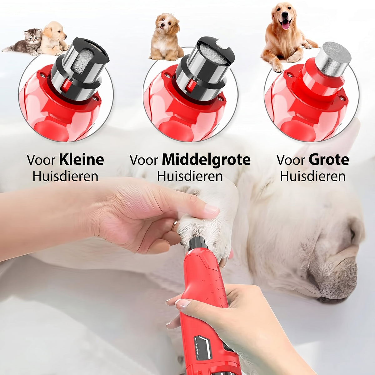 Beekgud Nagelknipper Voor Honden | Stressvrije Nagelslijper