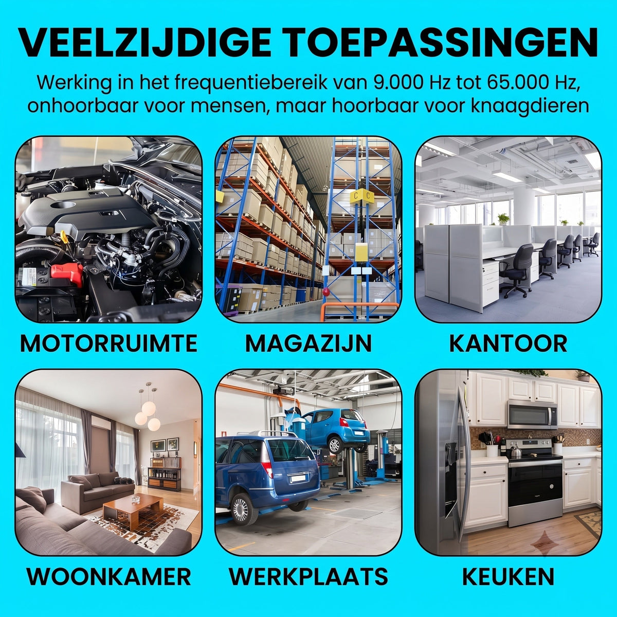 AutexRat Marterverjager Auto