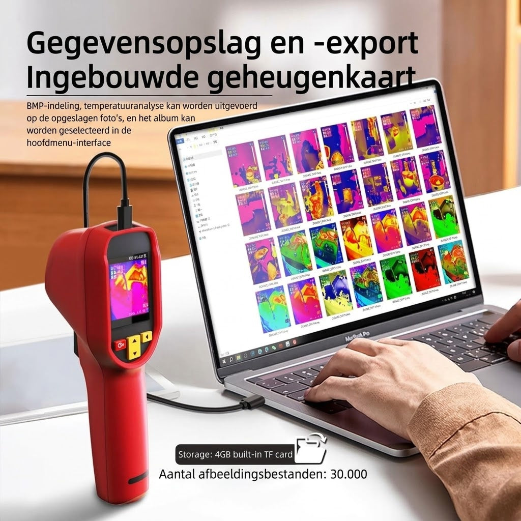 DelMeerva