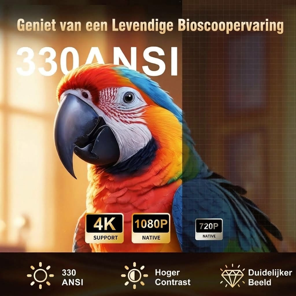 Dijdenor