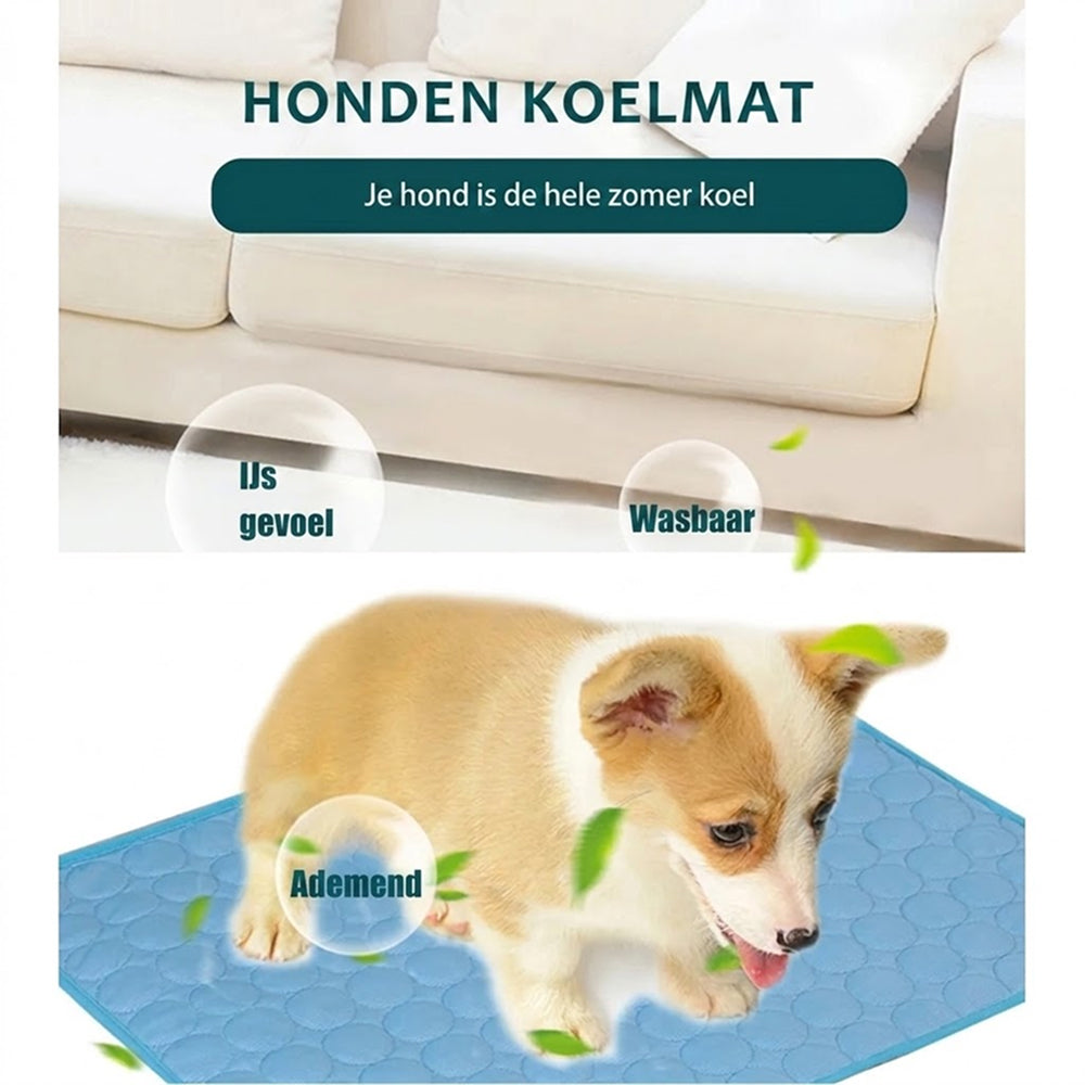 FloxNuuk