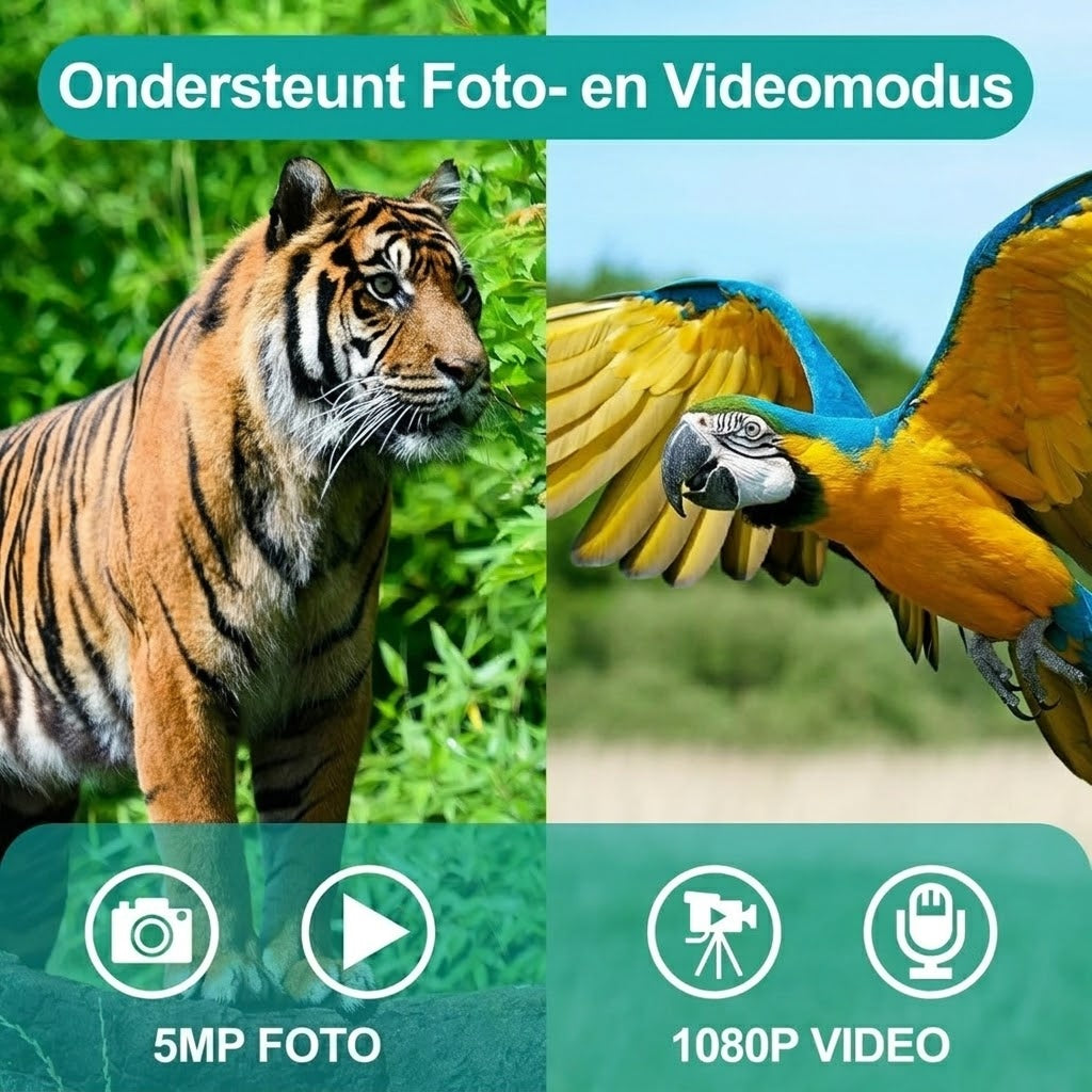 VeldinMol