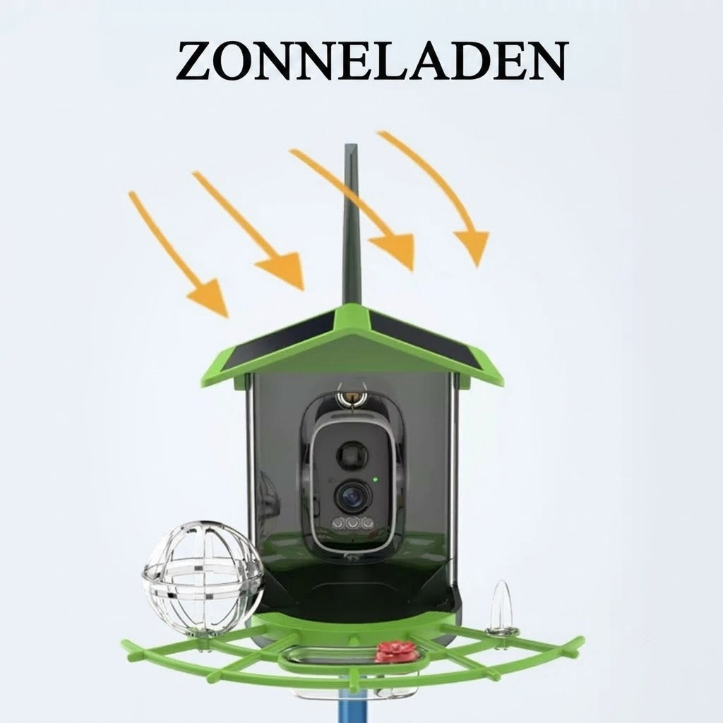 ZoraalDor